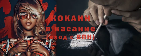 стаф Алзамай