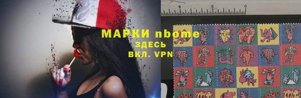 стаф Алзамай