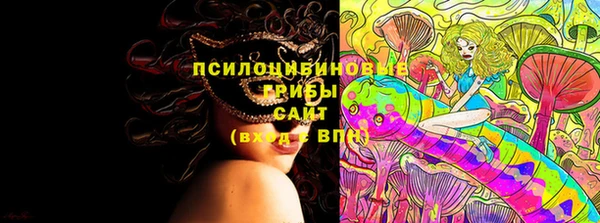 стафф Алексеевка