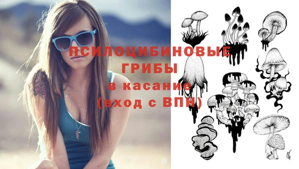 стафф Алексеевка