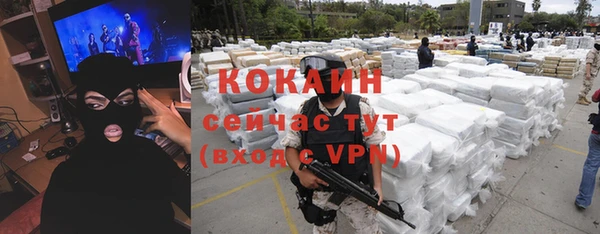 стаф Алзамай