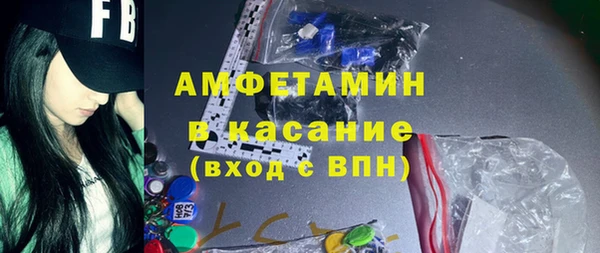 стаф Алзамай