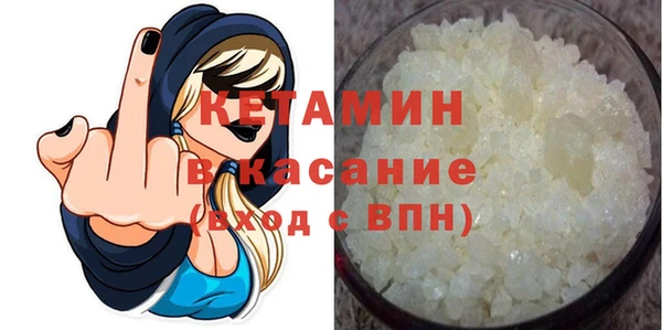 стаф Алзамай